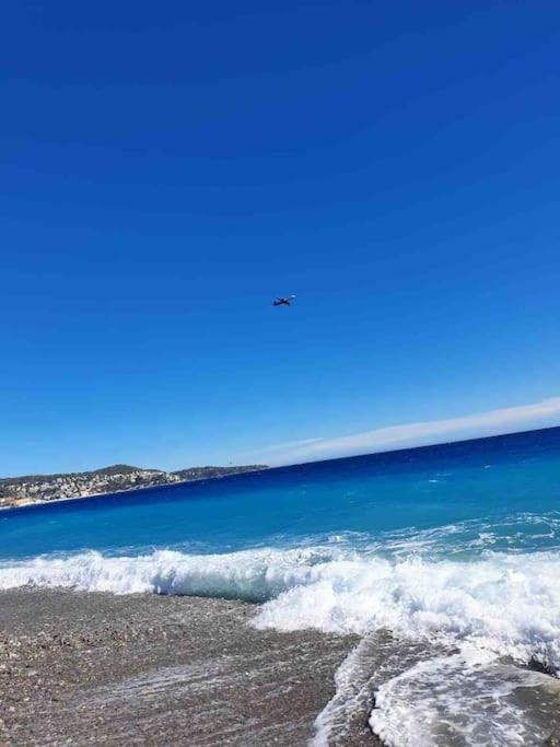 Lejlighed Nice, 100m Sea, 1 Bedroom, Promenade Des Anglais *
